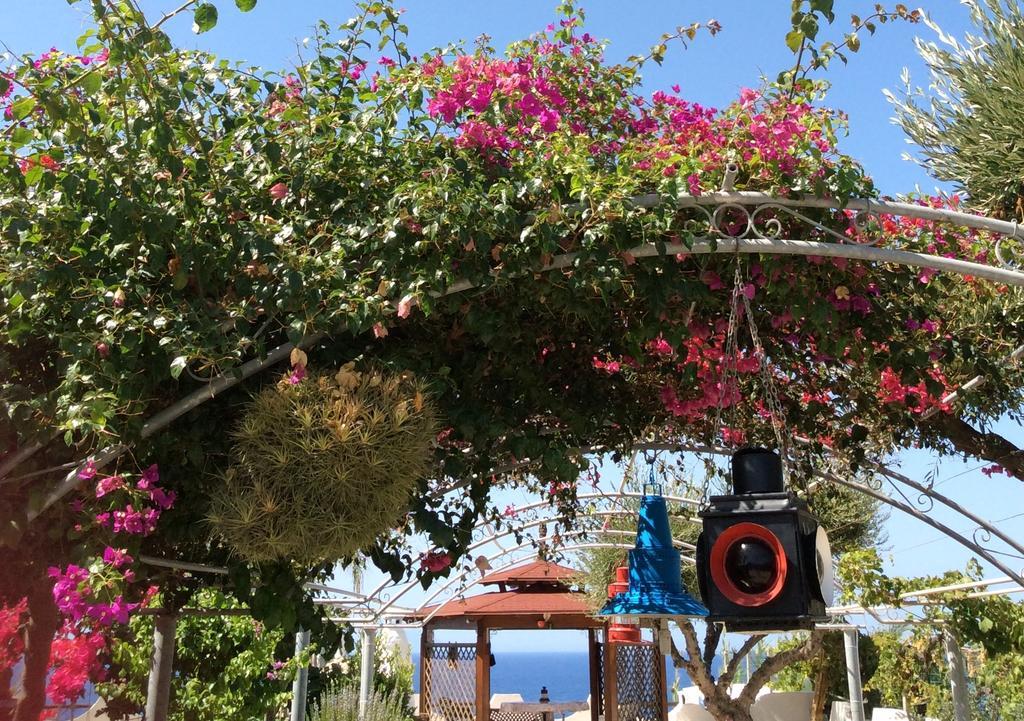 Residenza Stefanelli Apartment Capo Vaticano Bagian luar foto