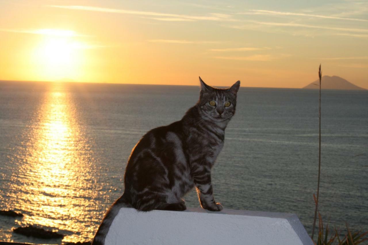 Residenza Stefanelli Apartment Capo Vaticano Bagian luar foto